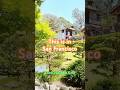San Francisco's Hidden Japanese Garden Serenity #shorts
