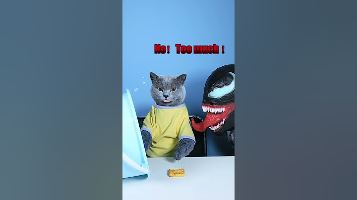 VENOM: A Good Cat Never Wastes Food!😮🤣 | Don't Waste Food  #funnycat #catsoftiktok #shorts