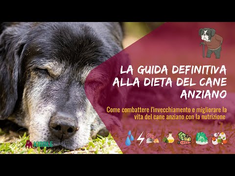 Video: Fatti Sul Grasso Nella Dieta Del Tuo Animale Domestico