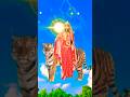 माता रानी की महिमा 👣 नवरात्रि स्पेशल 🙏 #shorts #shortvideo #status #viralshorts #viralvideos #durga