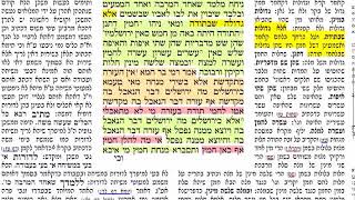 הדף היומי שבועות ט״ו 15 טו רביעי כ״ה כסלו תשע״ח להצלחת עמיהוד נבון בן שמואל