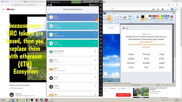 How download Bitpie Wallet and Add Token