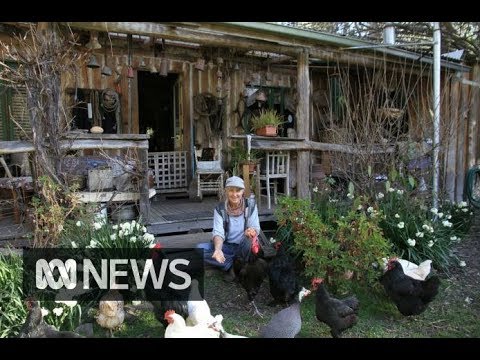 Video: Bæredygtige australske sommerhus åbner op til udendørsliv