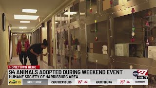 Success! Nearly 100 adoptions in Harrisburg ‘Clear The Shelters’ event