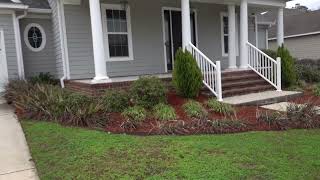 A short morning walk in Tallahassee Goldenrod Way