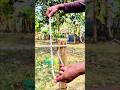 Practicale perfect strong rope knot..!!