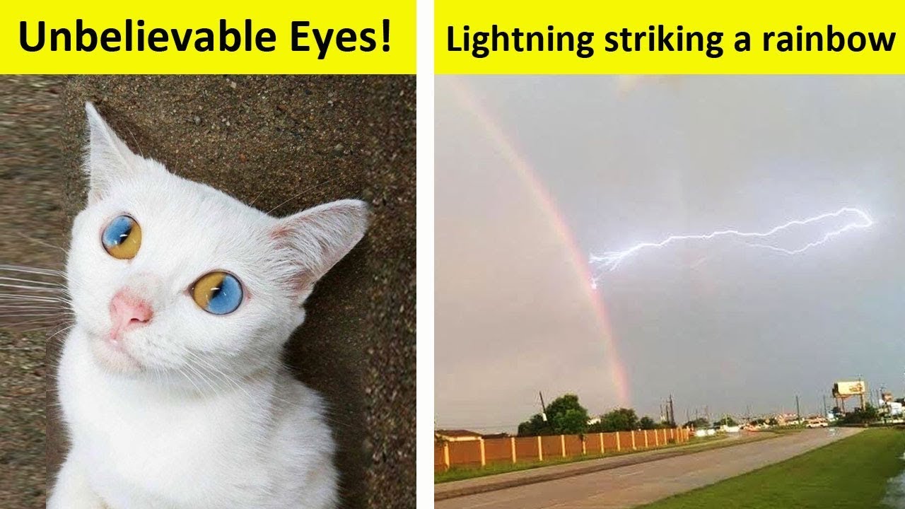 Captivating Photos That Are Hard to Forget