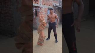 holding bricks 🧱😮😆😀 #funny #viralvideo #youtube #memes #comedy #cat #shortvideo #wildlife