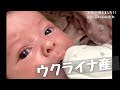 ウクライナのキーウで産まれた「新しい家族」を迎えに国境へ。
