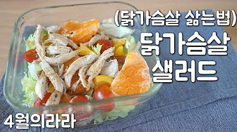 닭가슴살야채밥전