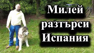 Милей разтърси Испания