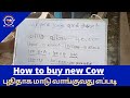How to buy new cows         