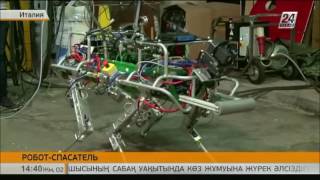 В Италии сконструировали робота-спасателя В Италии сконструировали робота-спасателя