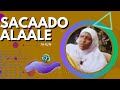 Sacaado Alaale Waa Dacaro Soo Bood Daruuraha Hilaaciyo Sacaado Alaale Waa Dacaro Soo Bood Daruuraha Hilaaciyo