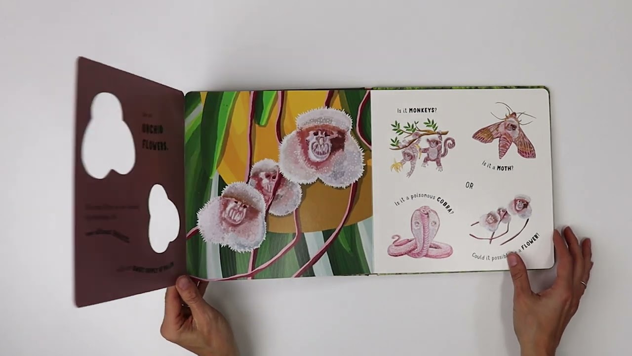 Hide and Seek in Nature - Albatros Media