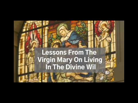 Video Image