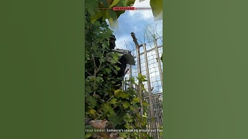 atomfall AI is stupid. #atomfall #gamer #games