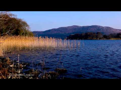 Musica Clasica Relajante-Beethoven-Relaxing Classical Music
