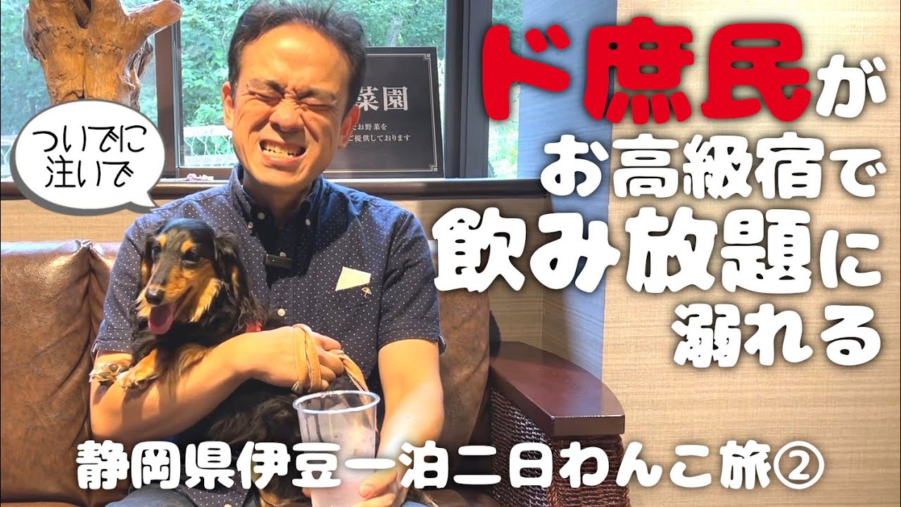 【犬連れ旅行静岡伊豆宿】愛犬と泊まれる宿「ウブドの森」さんで愛犬より楽しんでしまうド庶民のおじさん 1泊2日わんこ旅2/3 2023.6