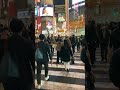 POV you're in Japan for Two Weeks 🇯🇵 #Japan #travel