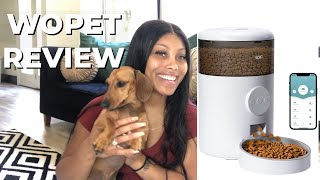 REVIEWING AMAZON PET FEEDER | WOPET