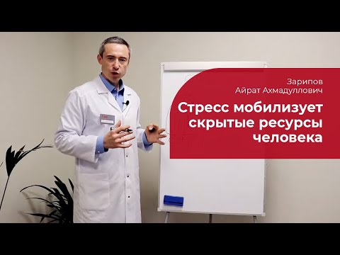 Video: Балдарда стресс барбы