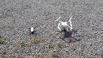 DJI spark vs Phantom 4 pro (Video, photo & sound comparison)