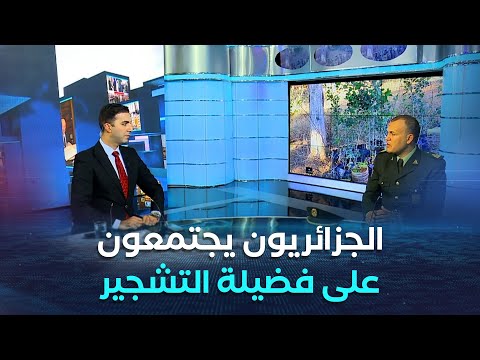 غرفة الأخبار حملة خضراء بإذن الله قاطرة جمعية الجزائر الخضراء تجر الجزائريين لفضيلة التشجير