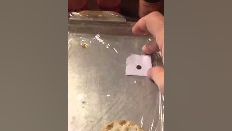 Maplewood CC cycle 3 week 17 or 23