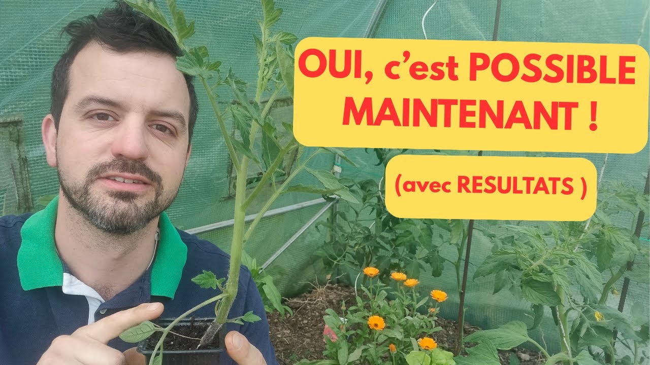 POURQUOI vous pouvez, (devez) PLANTER tôt vos TOMATES ? (avec RESULTATS)