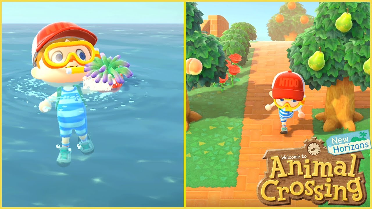 Animal Crossing New Update and World Tour *YOU CAN SWIM* YouTube