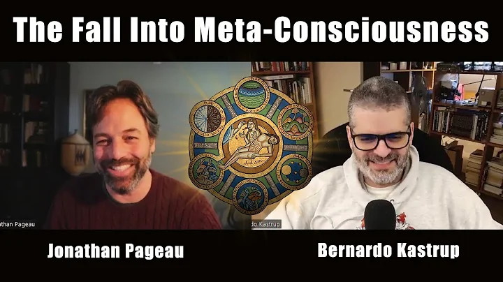 The Fall Into Meta-Consciousne...  | with Bernardo Kastrup (More Christ)