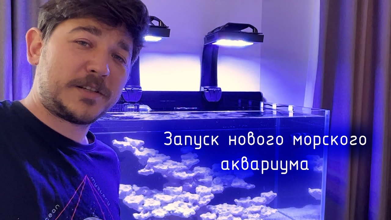 Запуск морского аквариума с нуля Первые действия для новичка