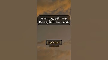 سورة الأنبياء الآية ٣٠ الى ٣٢ بصوت الشيخ محمد صديق المنشاوي