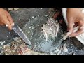 Prepping Fish--Cambodian-style! 2 Prepping Fish--Cambodian-style! 2