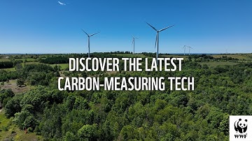 Discover the Latest Carbon-Measuring Tech