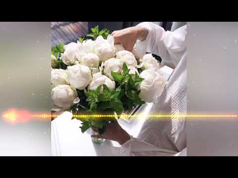 Аркадий Цыбульский- Оставил Сына