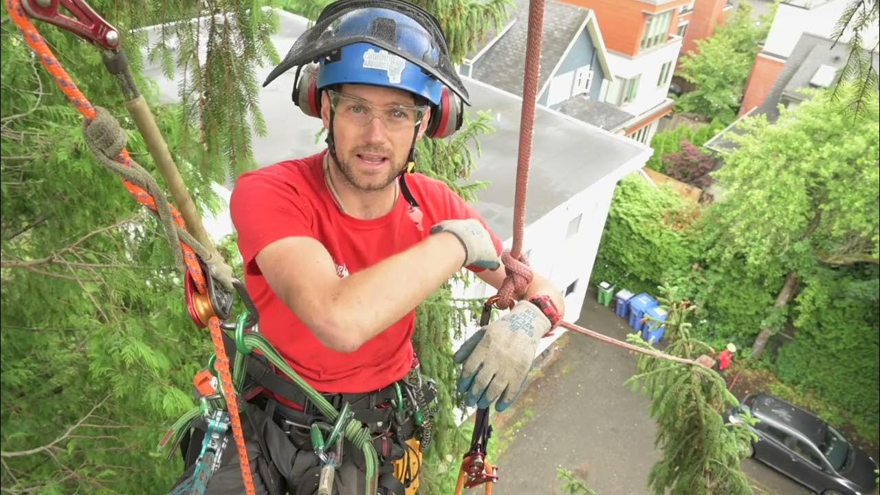 False Crotch Tree Rigging YouTube