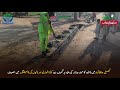 Hafizabad: DWMD Teams Active in Daily Waste Collection and Desilting | DWMD