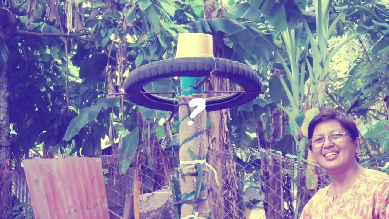 Ang Hardin ni Ma’m gitte | episode 1 | Garden Raid | Backyard Gardening