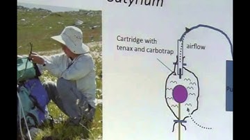 15 - Timo van der Niet: "Disentangling the contribution of pollinators in shaping angiosperm..."
