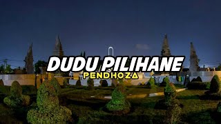 PENDHOZA - DUDU PILIHANE | Lirik lagu (VIDIO LIRIK MUSIK)