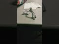 this animation sucks don't make it go viral YouTube