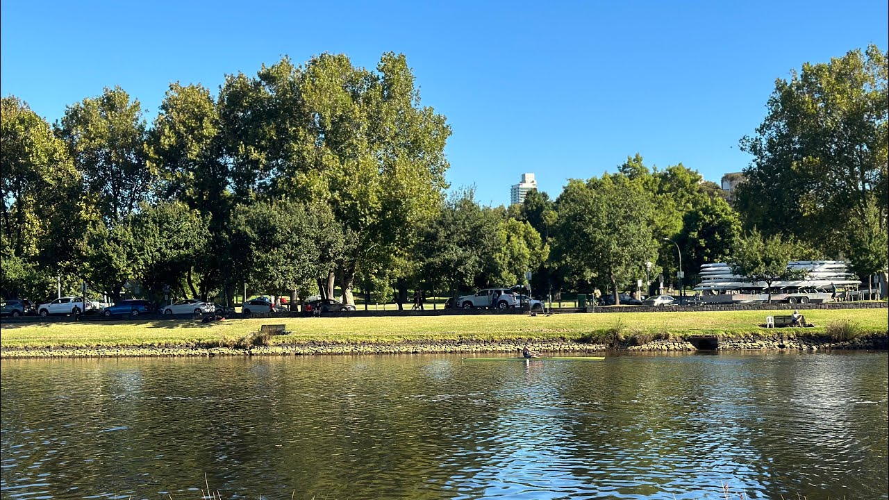 Yarra River Side Glimpses ️⏩️ nature shorts YouTube