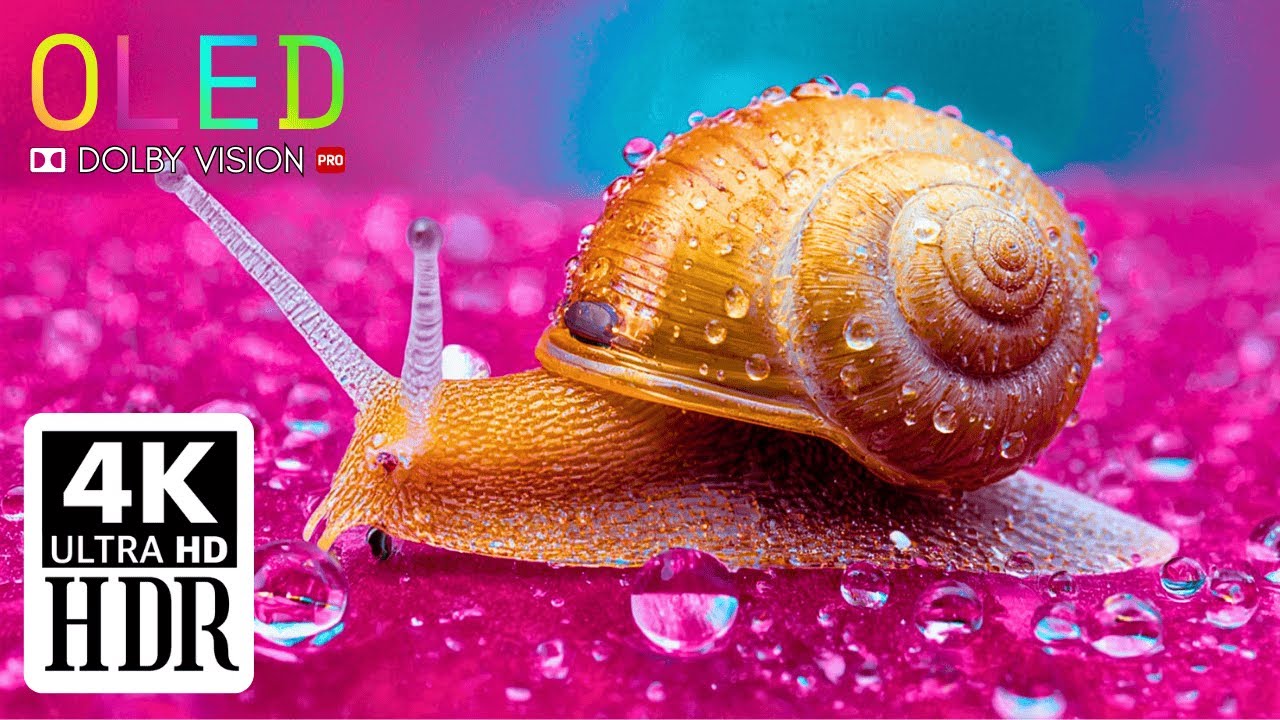 Breathtaking Nature in 4K HDR | 60FPS Dolby Vision (8K/4K Display Demo)