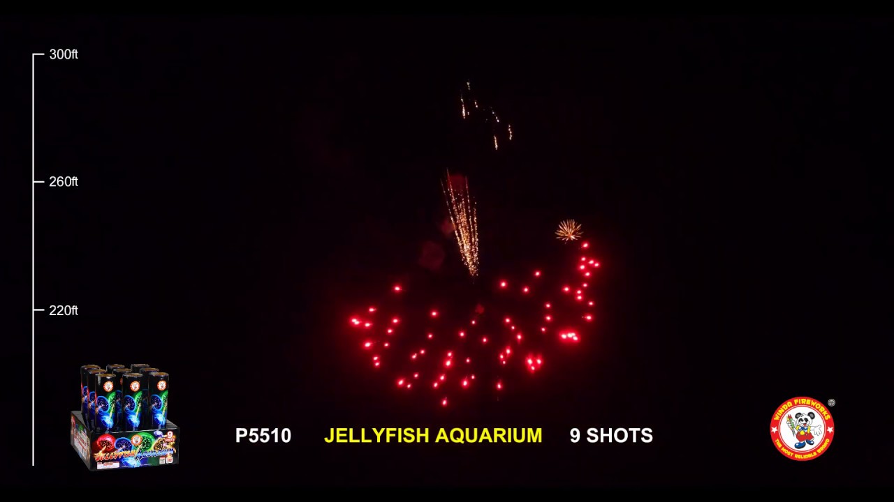 1.4G FIREWORKS JELLYFISH AQUARIUM P5510 YouTube