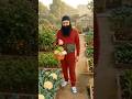 Satguru Darshan De do aake #love #saintdrmsg #guruji #humanity #bhaktisong #viralsong #trendingsong