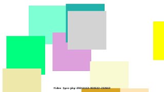 Video #gcs-pkg-20211113-032622-232663
