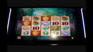 Jaguar Mist Big Win Buffalo Clone Slot Bonus Round Win screenshot 4
