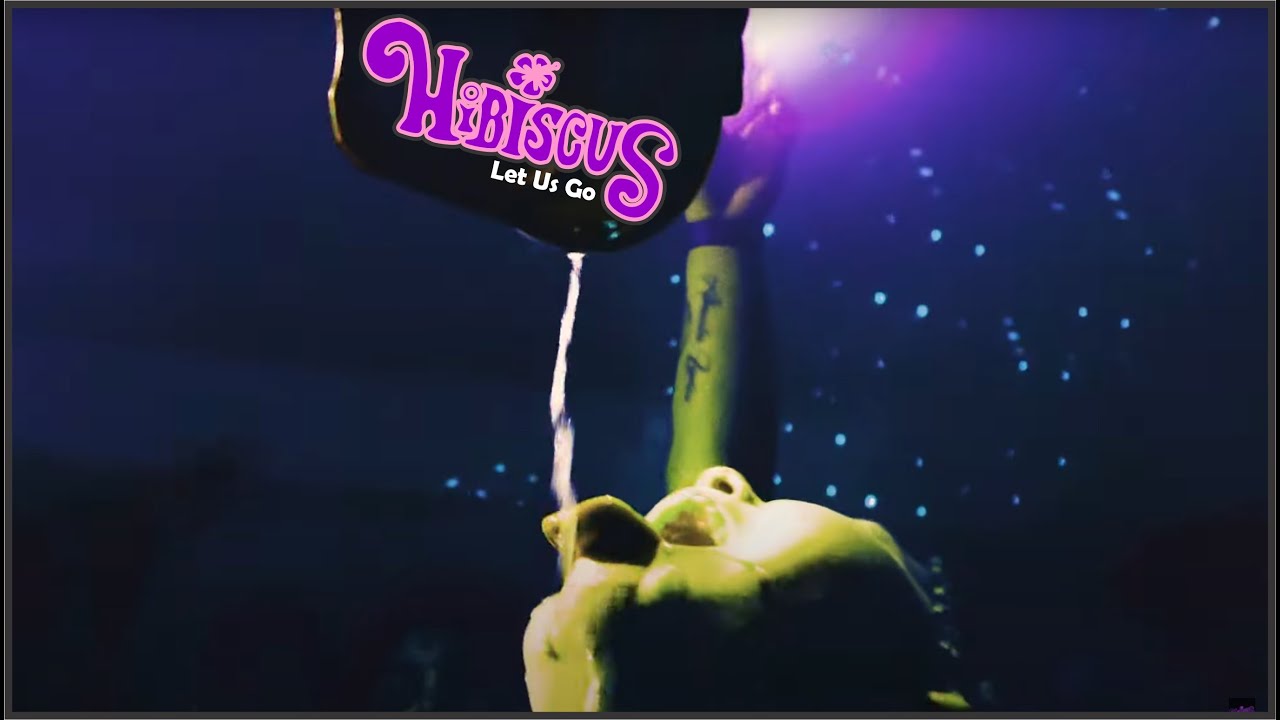 Hibiscus Bandd performing Let Us Go